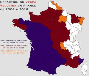 Repartition du frelon asiatique en france de 2004 a 2016