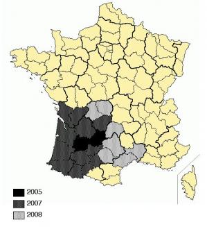 Repartition vespa velutina